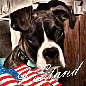 Meet your Posher, Martin